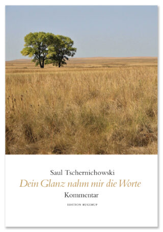 Dein Glanz nahm mir die Worte. Kommentarband