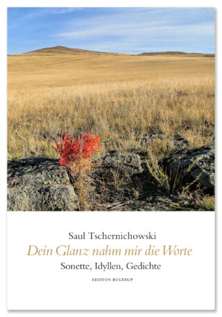 Dein Glanz nahm mir die Worte. Sonette, Idyllen, Gedichte