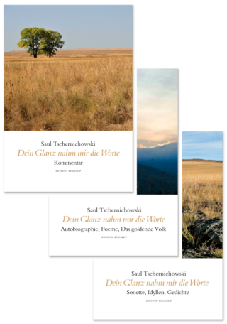 Dein Glanz nahm mir die Worte (Band I-III)